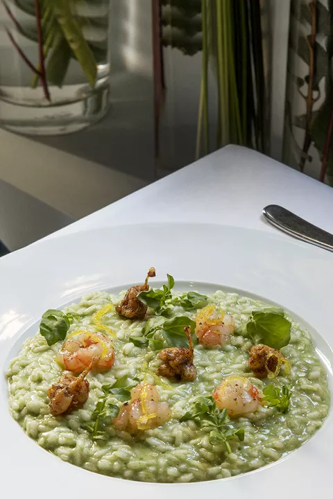 primi - belé ristorante